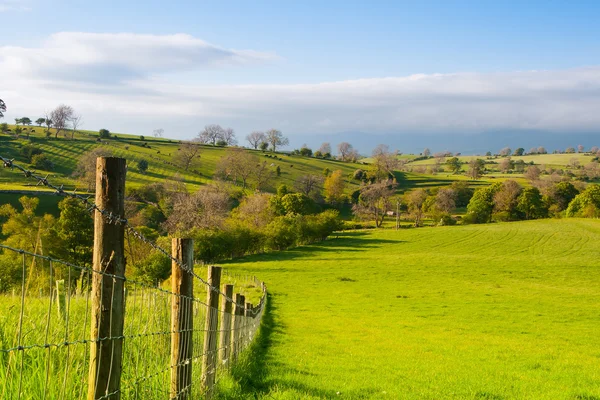 牧草地、Smardale のえら、イギリス — ストック写真