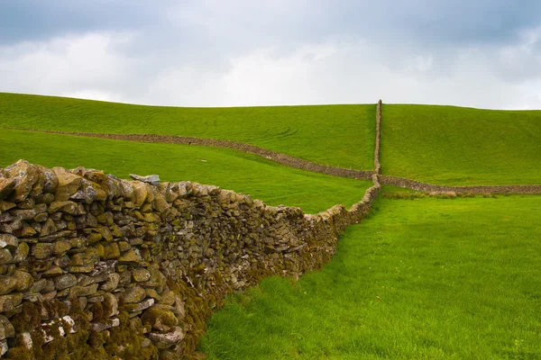 Tipikus száraz kövek fal Yorkshire Dales legelőn — Stock Fotó