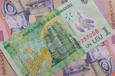 Farklı Romence Lei banknotlar 