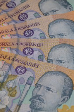 Farklı Romence Lei banknotlar 