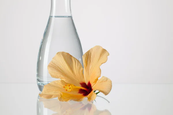 El jarrón con agua limpia y flor hibiskus —  Fotos de Stock