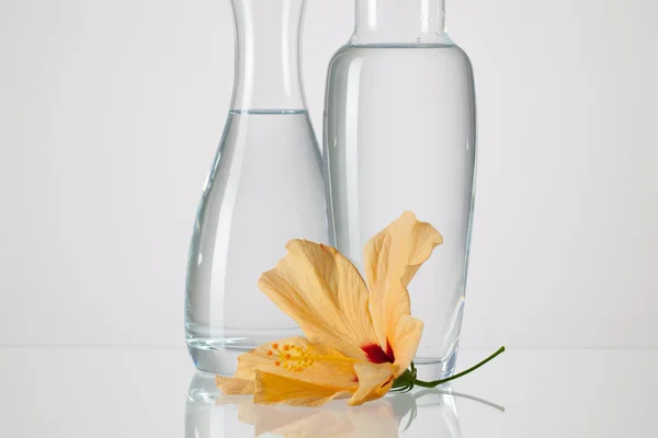 Twee vazen met schoon water en hibiskus bloem — Stockfoto