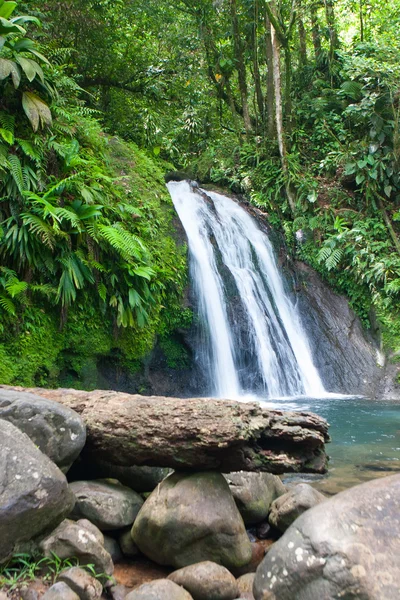 Beautiful waterfall on Guadeloupe island — Stock Photo, Image