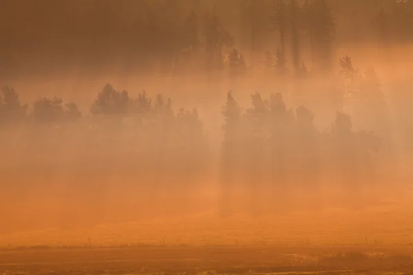 Paysages d'automne sur les hauts plateaux tchèques — Photo