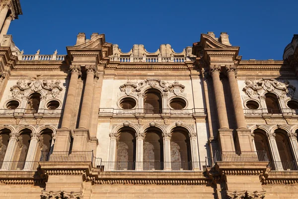 Detalj katedralen i Malaga — Stockfoto