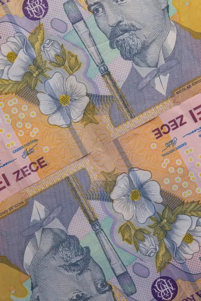 Detail Rumunska Lei peníze — Stock fotografie