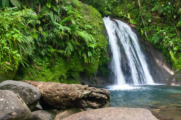 Beautiful waterfall on Guadeloupe island — Stock Photo, Image