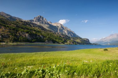 Göl Sils - göl İsviçre.