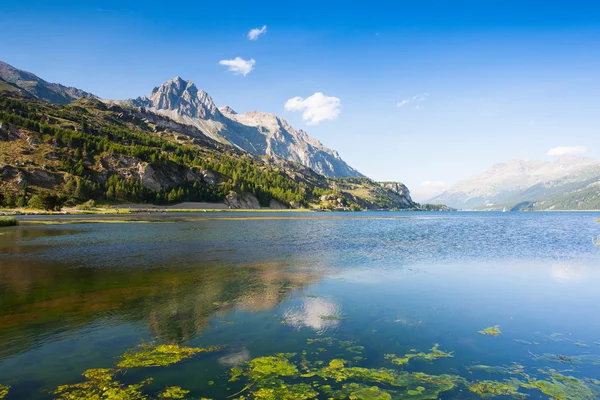 Lago Sils - lago en Suiza . — Foto de Stock