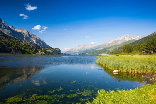 Lago Sils - lago en Suiza . — Foto de Stock