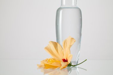 Temiz su ve hibiskus çiçekli vazo 