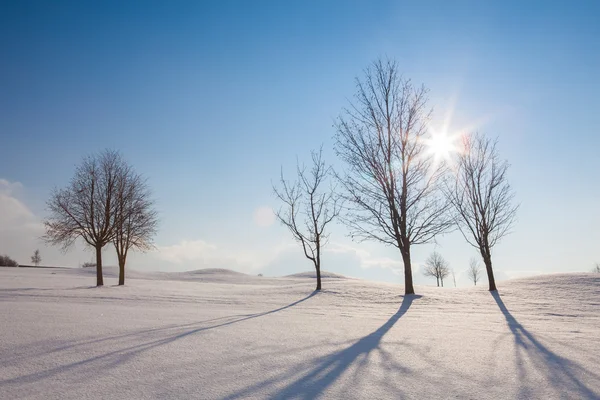 Vinterlandskap under blå himmel — Stockfoto