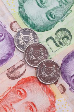 Singapur banknot ve madeni paralar