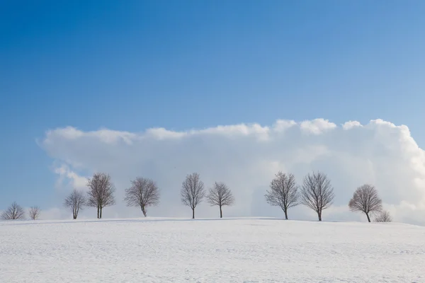 Зимний пейзаж под голубым небом — стоковое фото