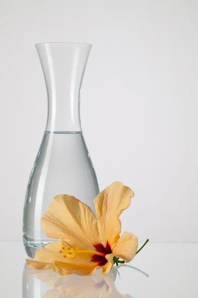 The vase with clean water and hibiskus flower