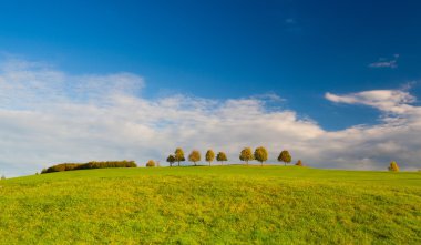 Sonbahar üzerinde boş bir golf sahası 