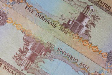Ayrıntı Arap Emirlikleri Dirhemi para