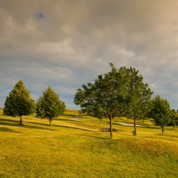 На поле для гольфа на закате — стоковое фото
