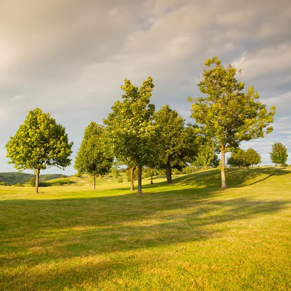 Su un campo da golf al tramonto — Foto Stock
