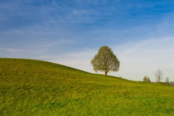 Sur un terrain de golf au coucher du soleil — Photo