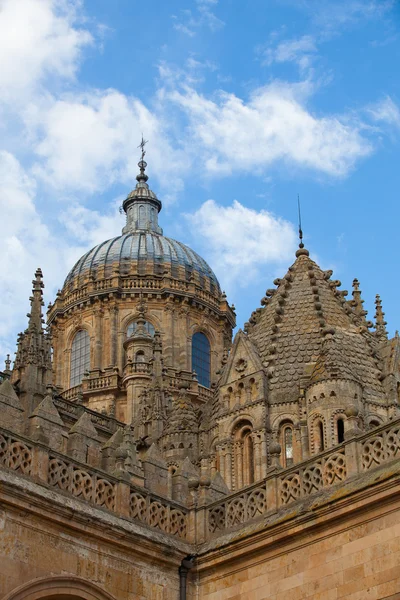 New Cathedral of Salamanca, Spain. — Stock Photo, Image