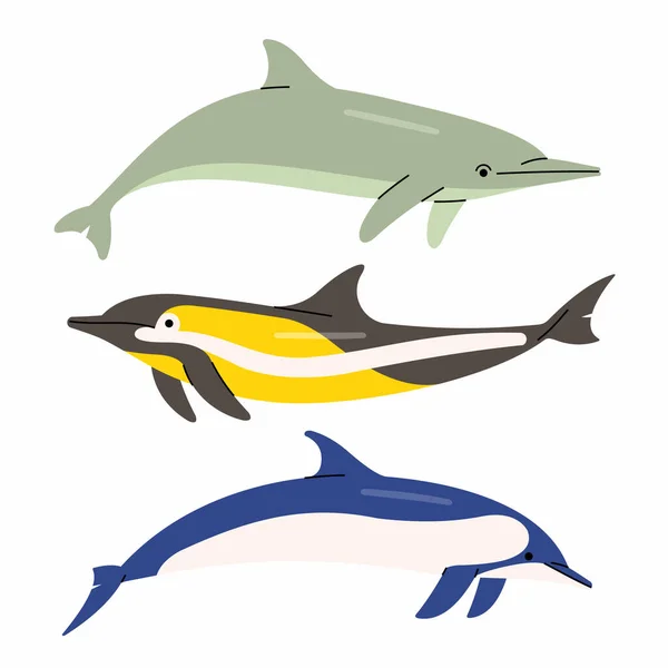 Ilustración Vectorial Delfines Fondo Blanco — Vector de stock