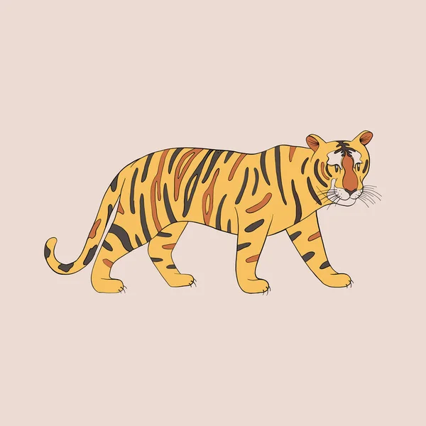 Cartoon Tiger Isoliert Auf Weißem Hintergrund — Stockvektor