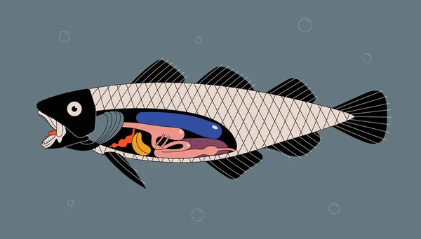 Ilustração Vetorial Anatomia Peixe Órgãos Internos Dos Peixes — Vetor de Stock