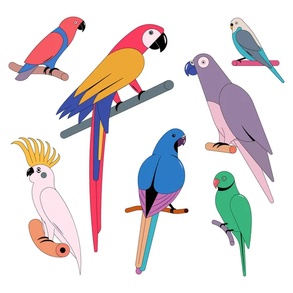 Vector Illustration Icon Set Parrots White Background — Stock Vector