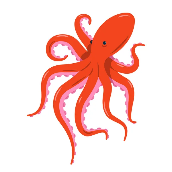 Pulpo Rojo Ilustración Vectorial Aislada Sobre Fondo Blanco Concepto Vida — Vector de stock