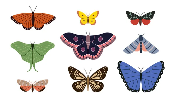 Vector Illustration Symbol Satz Von Schmetterling Weißer Hintergrund lizenzfreie Stockillustrationen