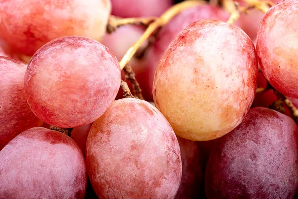熟した赤ブドウの束の果実のマクロショット 食の背景概念 — ストック写真