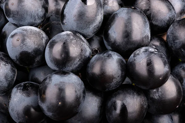 Pełna Ramka Jagód Dojrzałych Czarnych Winogron Koncepcja Żywności — Zdjęcie stockowe