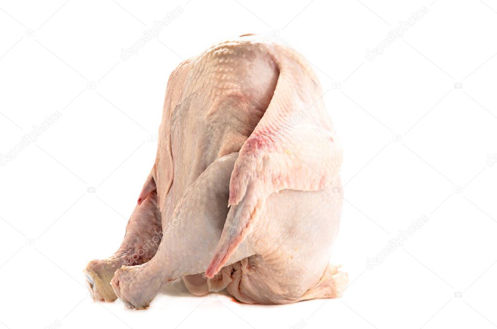 Fresh raw chicken on a white background. Close up. Copy space.