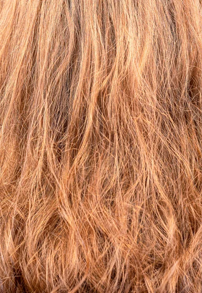 背景としての色の女性の髪のフルフレーム ヘアケア ストックフォト