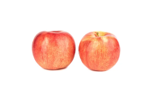 하얀 배경에 두 개의 빨간 익은 사과가 분리되어 있다. — 스톡 사진