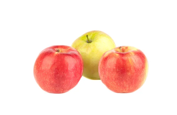 Два Стиглих Червоних Яблука Зелений Ізольовані Білому Тлі Копіювати Простір — стокове фото