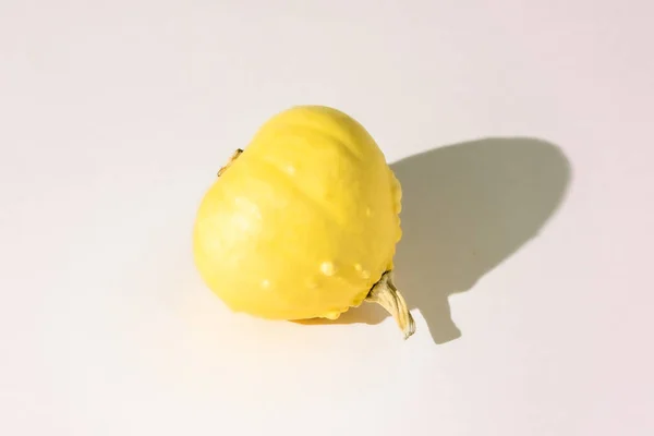Small Yellow Decorative Pumpkin Lies Its Side Copy Space — ストック写真