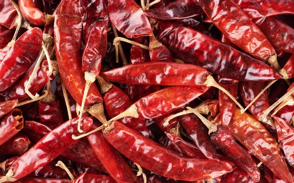 Fondo de vainas de pimiento rojo picante. — Foto de Stock