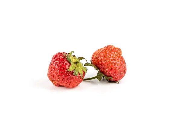 Două Boabe Căpșuni Grădină Izolate Fundal Alb Copiați Spațiul — Fotografie, imagine de stoc