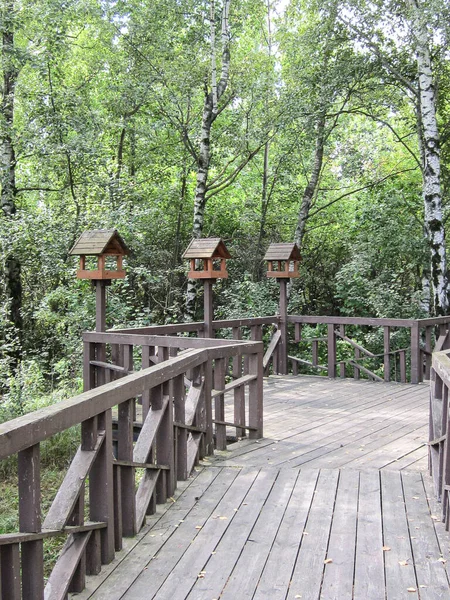 公園内の木製のエコトレイルの鳥の餌やり ハイキングのための木製デッキ ストックフォト
