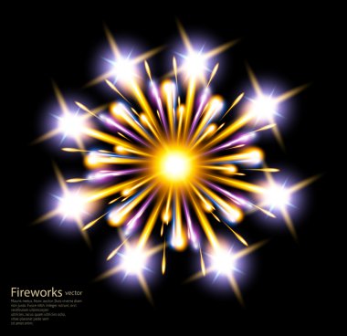 Fireworks vektör yıldız çiçek