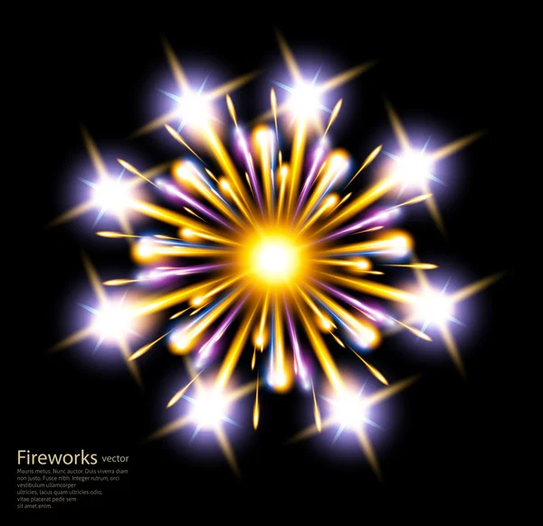 Fireworks star flower vektor — Stock vektor