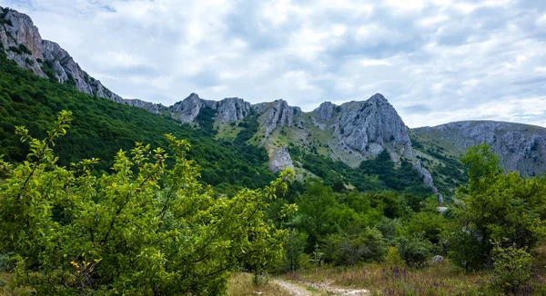 Inaccessible Rocks Surrounded Green Forests Shrubs Hot Summers Clear Sunny — Stock Photo, Image