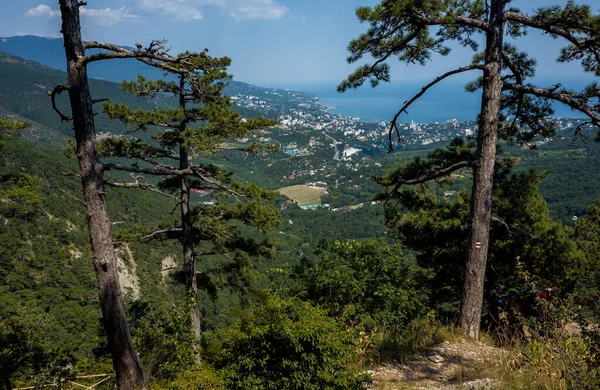 Yalta ve Karadeniz 'in dağ yamacından görünüşü.