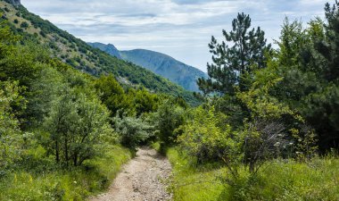 Yeşil ormanlarla çevrili, ulaşılamaz kayalıklara karşı köy yolu..