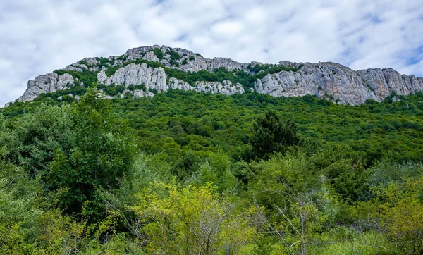 Rocce Inaccessibili Circondate Verdi Foreste Arbusti Estati Calde Con Tempo — Foto Stock