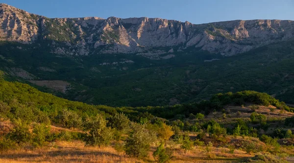 Les Pokryl Skály Světle Vycházejícího Slunce Teplého Letního Rána — Stock fotografie