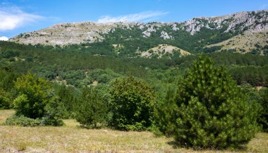 Yeşil ormanlarla çevrili ulaşılmaz kayalar ve açık güneşli yaz mevsiminde çalılar..