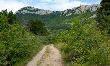 Yeşil ormanlarla çevrili ulaşılmaz kayalar ve açık güneşli yaz mevsiminde çalılar..